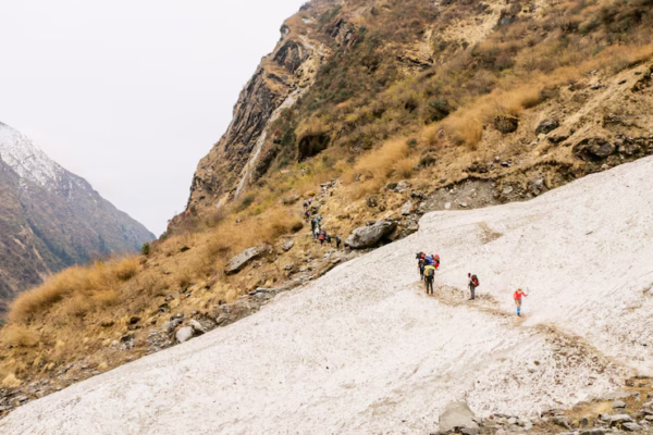 Langtang Valley Trek Cost: Budget to Luxury Options